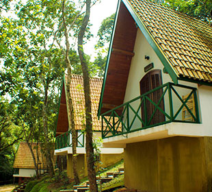 sitio-robertinho