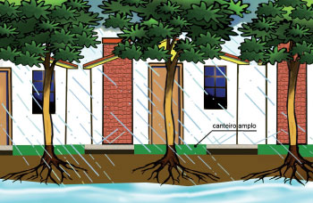 Para a segurança e o conforto do pedestre, deve ser mantida, conforme a lei (BRASIL, 2000, 2004) uma faixa livre para o passeio de 1,2 m de largura (ABNT, 2015), no mínimo, independente da largura da calçada