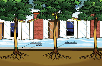 O solo permeável absorve a água da chuva